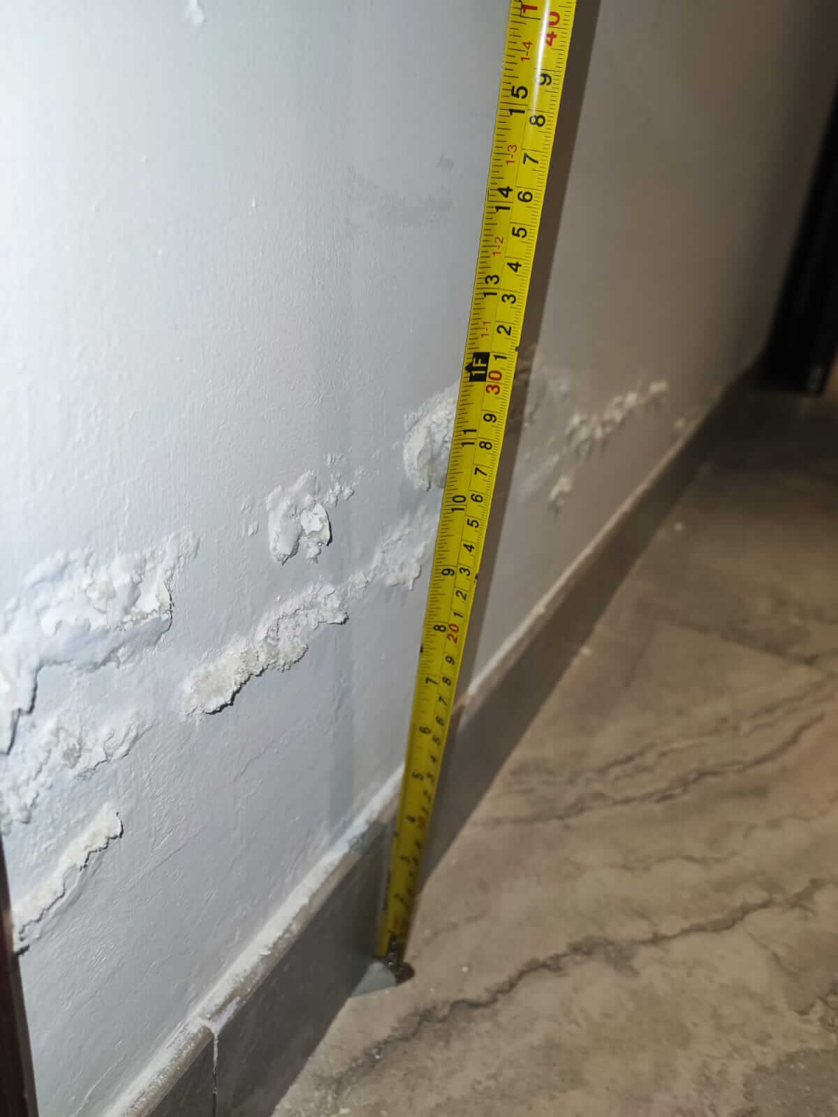 Comprehensive Building Defect Assessment TFG